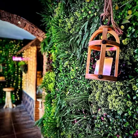 La Jungle De Zoe - Nuit Insolite A 15min De Caen Apartment Saint-Sylvain (Calvados)