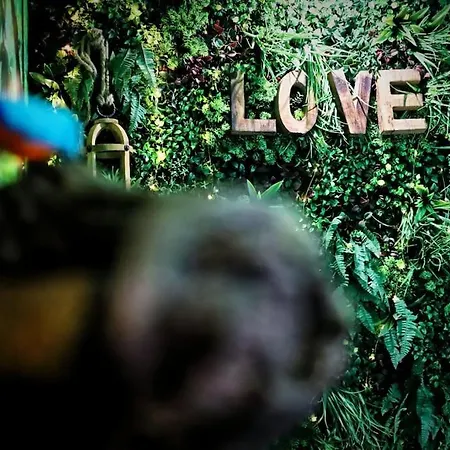 La Jungle De Zoe - Nuit Insolite A 15min De Caen Saint-Sylvain (Calvados)