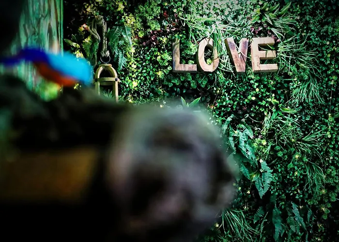 La Jungle De Zoe - Nuit Insolite A 15min De Caen