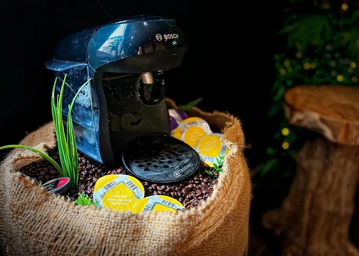 La Jungle De Zoe - Nuit Insolite A 15min De Caen דירה